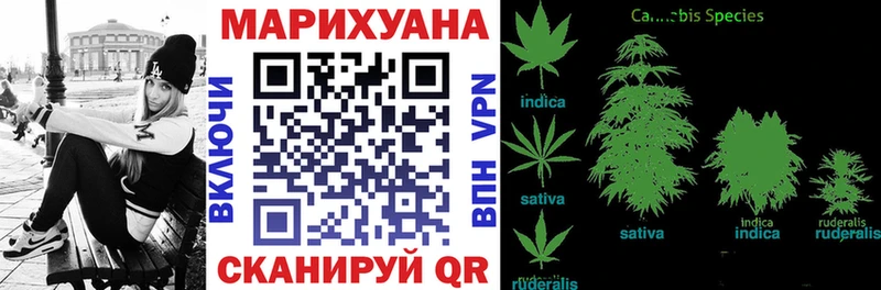 Где можно купить наркотики Чадан Кокаин  Марихуана  Галлюциногенные грибы  Гашиш  Мефедрон 
