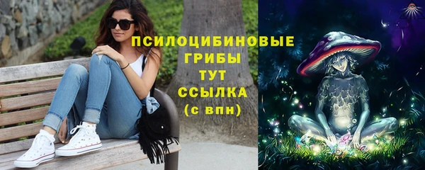 кокс Алзамай